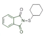 CTP(PVI)-80